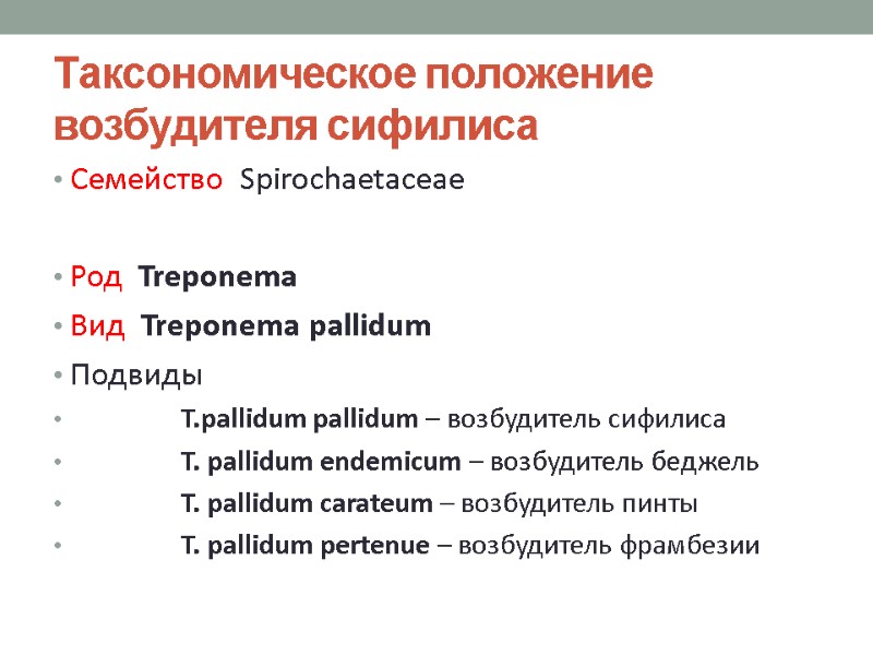 Таксономическое положение возбудителя сифилиса Семейство  Spirochaetaceae  Род  Treponema Вид  Treponema